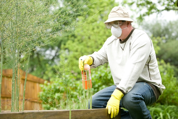 A Pest Control by Abu Dhabi Municipality